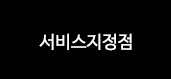 서비스지정점